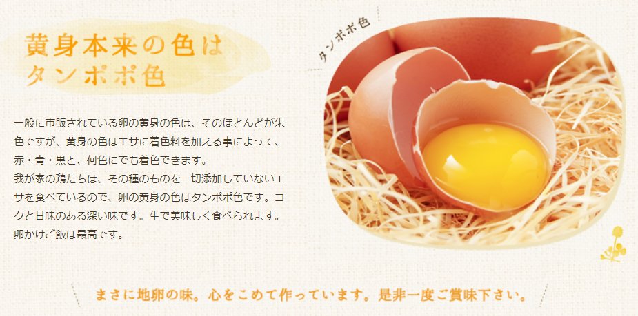 九州卵 美味しい安全な卵 九州卵のお取り寄せ通販 寺床の自然卵