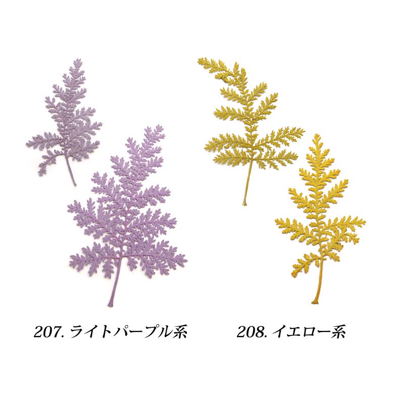 押し花 ドライリーフ203-212・225・260 各種 5枚入り | プチココ