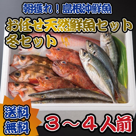おまかせ天然鮮魚ー冬セット１
