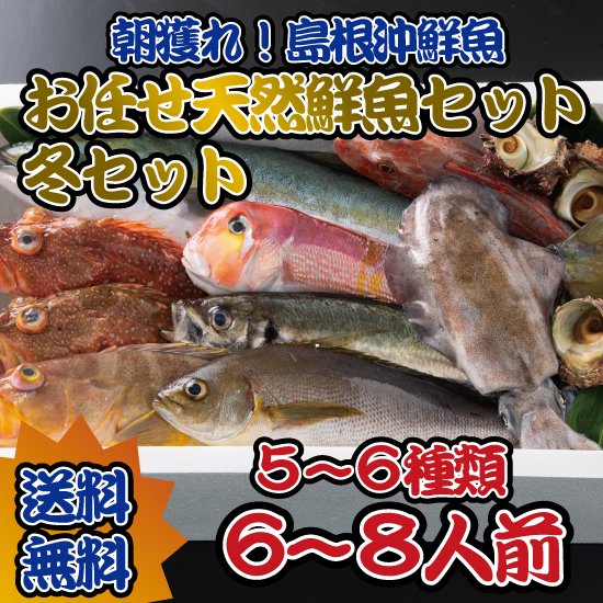 おまかせ天然鮮魚セット６〜８人前