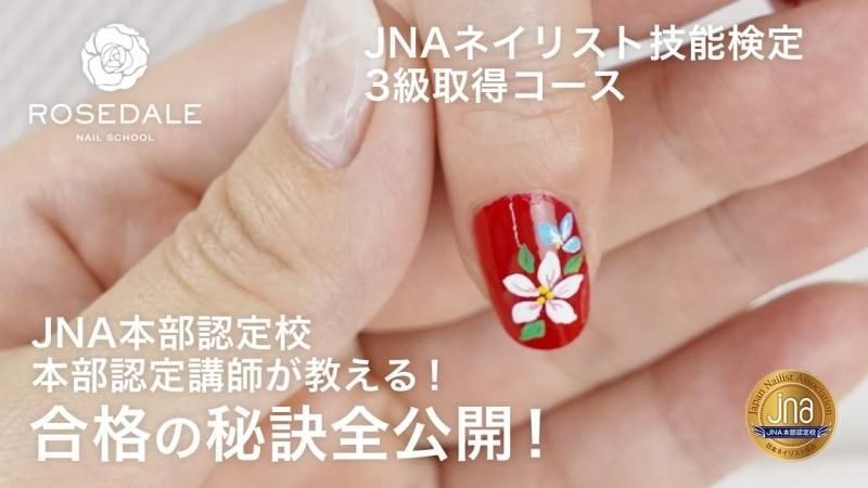 日本未入荷 ネイリスト検定セット 3級 2級 ネイルアート用品(筆など) - www.pllr.com