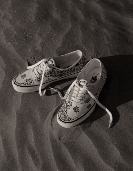 BEDWIN & THE HEARTBREAKERS]VANS×BEDWIN AUTHENTIC LX 