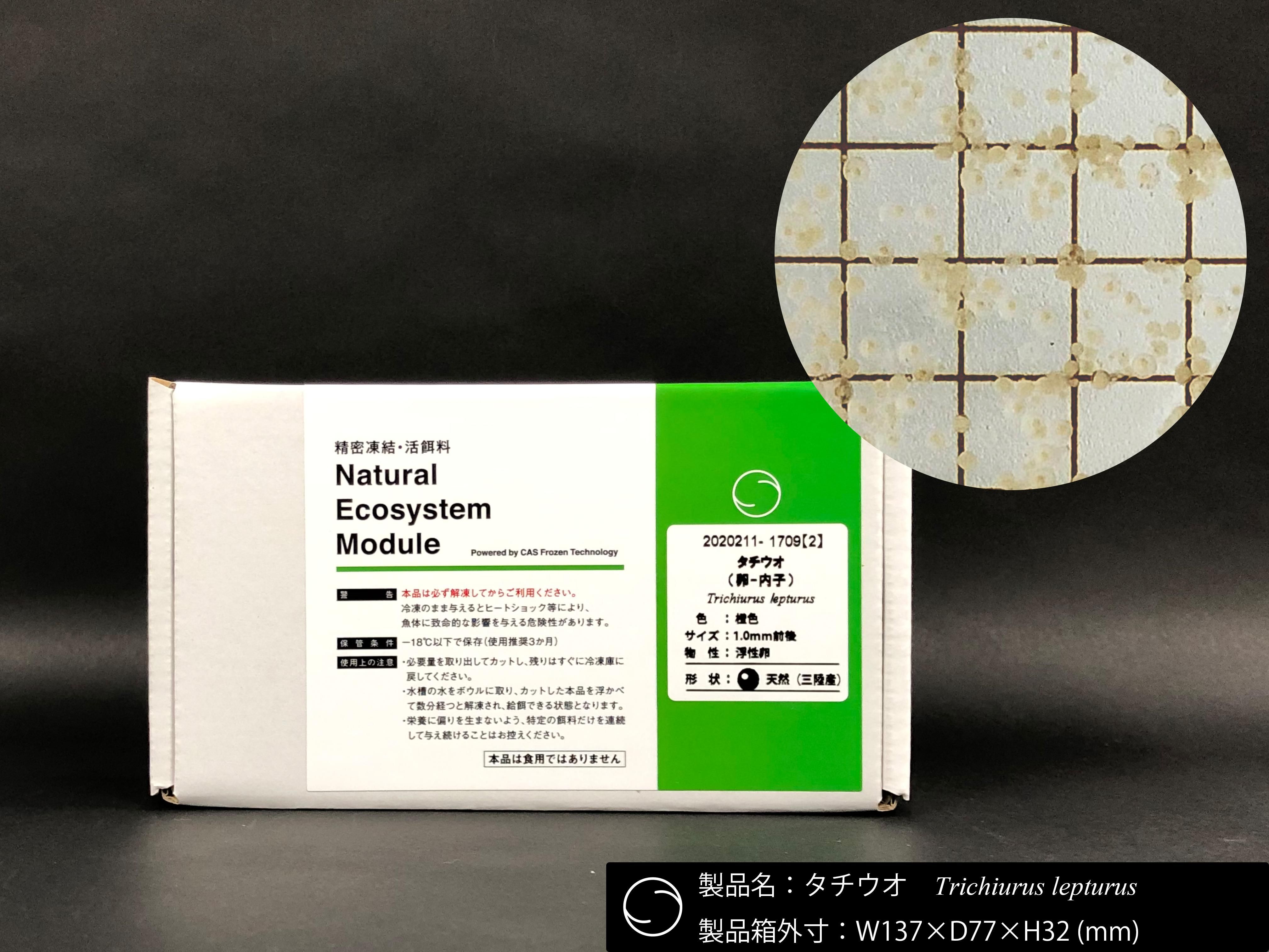 タチウオ（卵-内子）50g（5gブロック×5個入×2袋） - 三陸エンリッチメント研究室