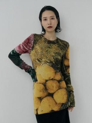 <img class='new_mark_img1' src='https://img.shop-pro.jp/img/new/icons6.gif' style='border:none;display:inline;margin:0px;padding:0px;width:auto;' />Mediam ߥǥ 25aw / Photo Knit Pullover - A 