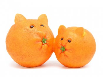 Home Grown ホームグロウン オレンジ 猫の親子 フィギュア フィギュアリン