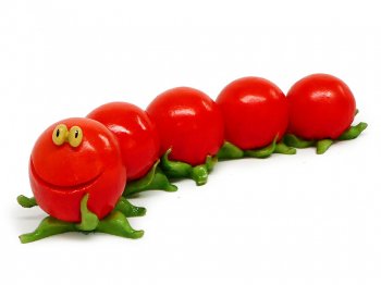 ホームグロウン プチトマト イモムシ フィギュア フィギュアリン Home Grown Cherry Tomato Caterpillar