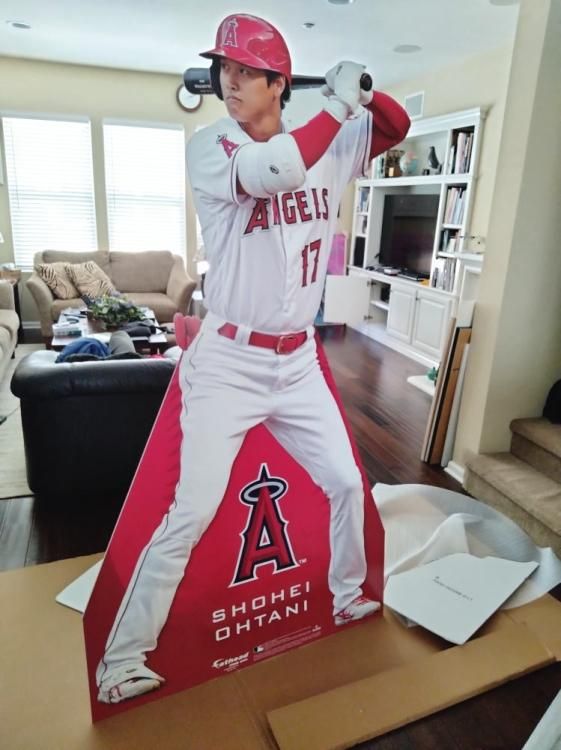 大谷翔平 ☆2021 AL MVP☆ BALL\u0026CACE SET-silversky-lifesciences.com