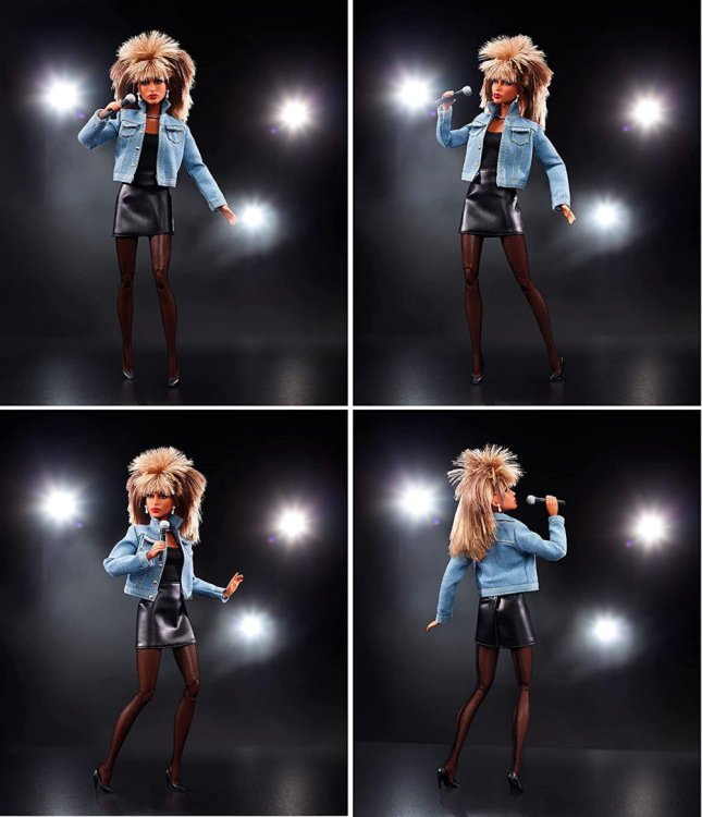 バービー ミュージックシリーズ ティナ・ターナー ドール 人形 Barbie 