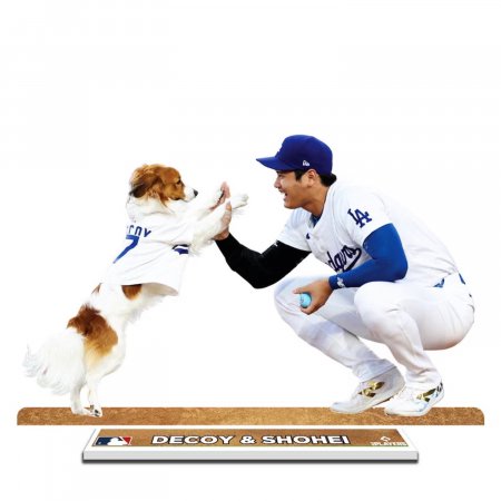 ëʿ ǥԥ ϵ弰 ɥǥץ쥤 ǥ  Ǽ ɥ㡼 ١ܡ MLB Decoy & Shohei Ohtani Player Standee