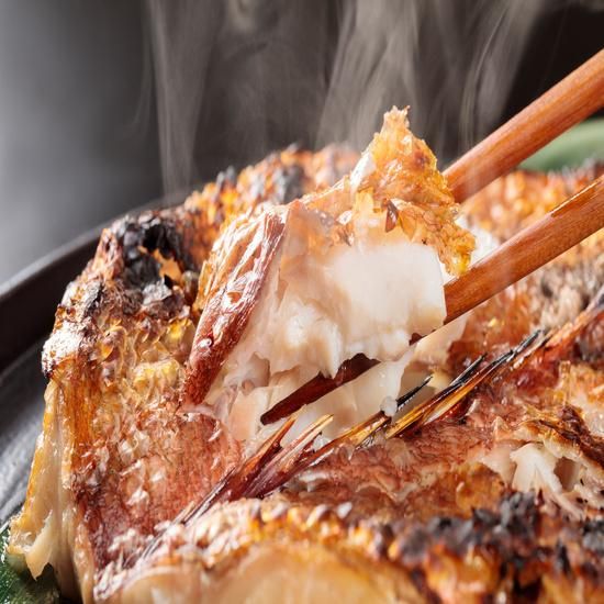 ねこめしさかな 20240912151510_66e286ee4eefb.jpg