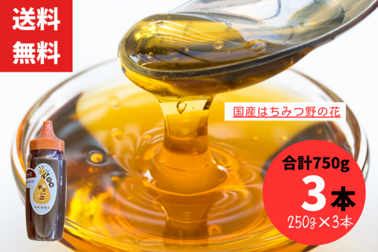 Á÷ÎÁ̵ÎÁ ÆîÀ¤ó¤Î¤Ï¤Á¤ß¤Ä ¹ñ»º Ìî¤Î²Ö ¥Á¥å¡¼¥Ö 250g 3ËÜ ¹ç·×750g ˪̪¥Ï¥Á¥ß¥Ä ÆîÀîÍÜ˪¾ì ¥ì¥¿¡¼¥Ñ¥Ã¥¯ÇÛÁ÷