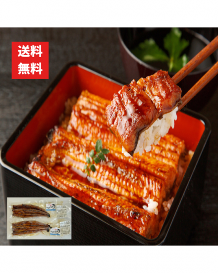 ̵ 񻺤ʤ 41100g 200g2 400g Ŀ建ʤ ʥ  縩  դ  եȢդ