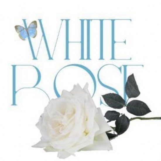 浪浪釘《White Rose》Photo Book by暮染 - 華流グッズ.com☆中華グッズ専門代理購入サービス（日中SSS）