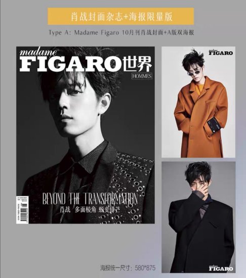 入手困難！雑誌】Figaro 肖戦表紙(公式ポスター２付) - 華流グッズ.com