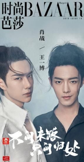 陳情令 - DVD/ブルーレイ