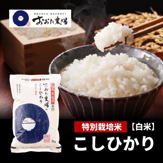 新米 令和5年産 特別栽培米コシヒカリ ≪従来品種≫ 【白米】 | 幻と言 