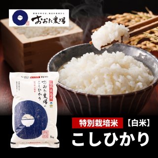 白米 - おおた農場商品一覧