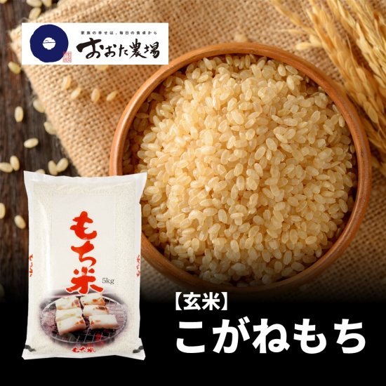 令和5年新米＊農家力作新潟とちおこがねもち玄米風袋込み25gぴかぴか