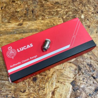 LUCAS 󥸥LEDХ(6V)