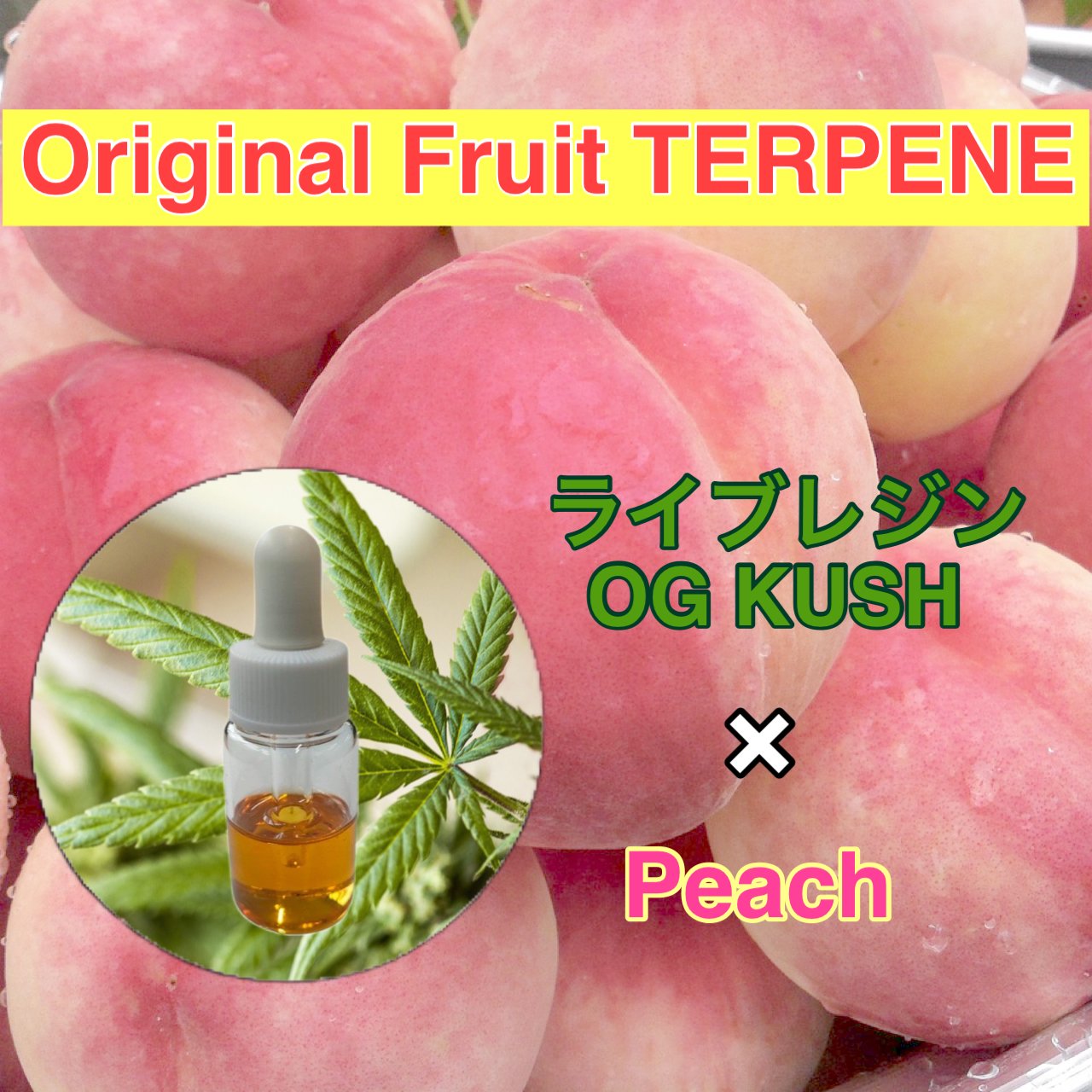 クリアカラーPEAKTERPENES製テルペンスタビライザー 8OZ/NOTHC P025