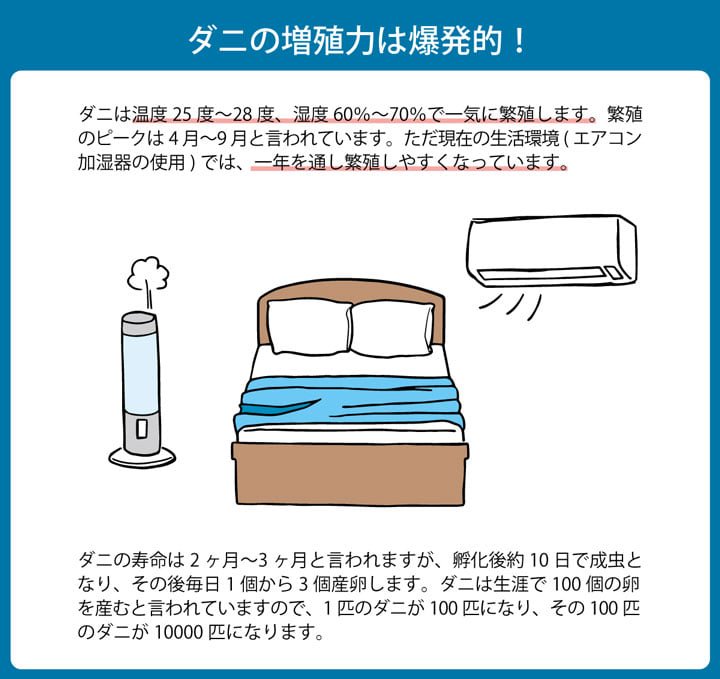 寝具 清潔 快適 掛け布団 ダニ増殖抑制 日本製 シンプル 無地