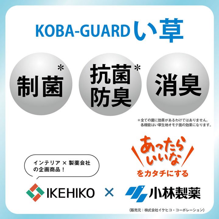 ラグ マット 小林製薬 持続性抗菌剤 KOBA-GURARD 制菌 抗菌消臭 夏