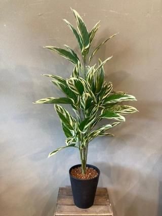 フェイクグリーン Fake green - 花と緑の店 green green｜名古屋