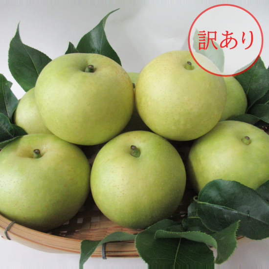 颡  5kg3,980(ǹ)