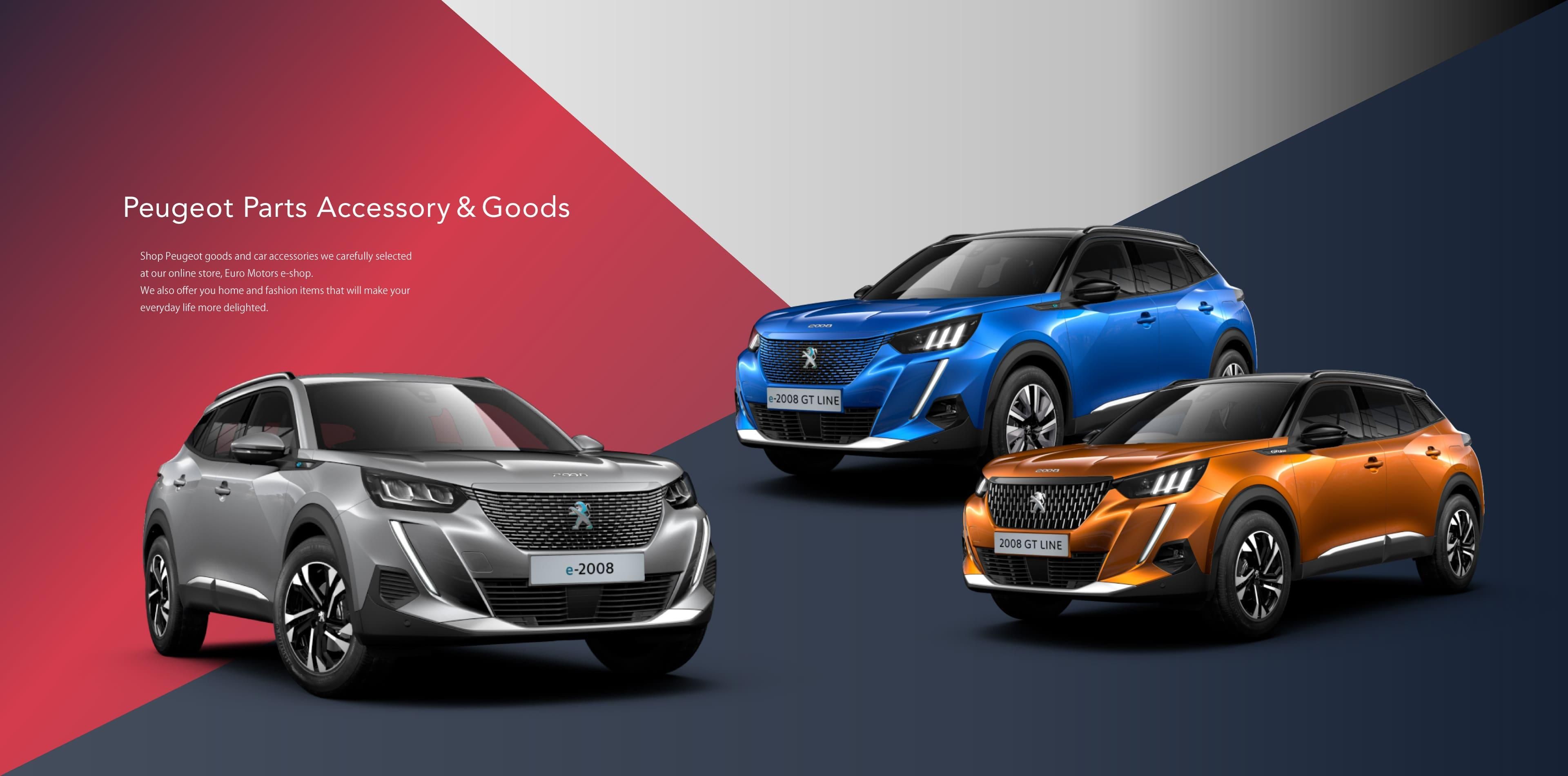 【未使用新品】プジョーシトロエン カーサイドタープVer.1 プジョー リフター／シトロエン ベルランゴの人気純正用品「カーサイド