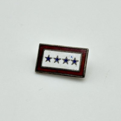 WW2 US SERVICE/BLUE STAR PINS 4STARS  240205