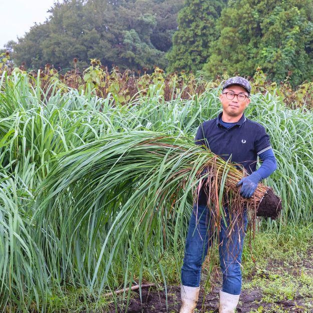 村岡オーガニックのレモングラス