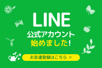 ǥѡƥθLINE