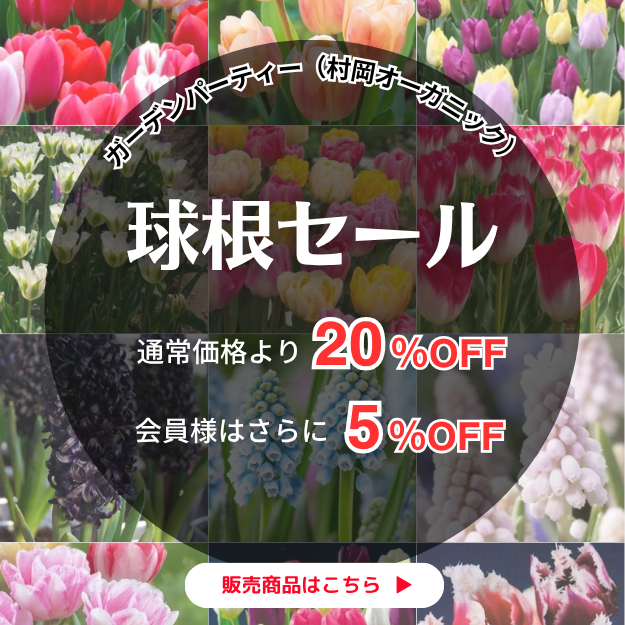 球根セール!20%OFF 会員様はさらに5%OFF