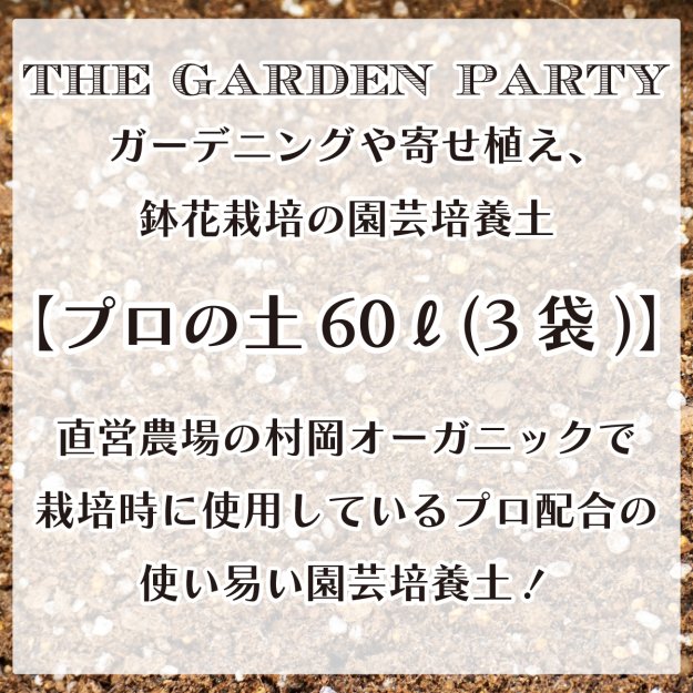 【園芸培養土３袋セット！】プロの土60リットル(3袋)【※他の商品との同時購入不可、一度に複数購入不可。】