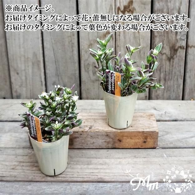 【1点限り】火鉢　青銅　唐銅　木台付き 1点限り】火鉢 青銅 唐銅 木台付き （1点限り】火鉢 青銅 唐銅