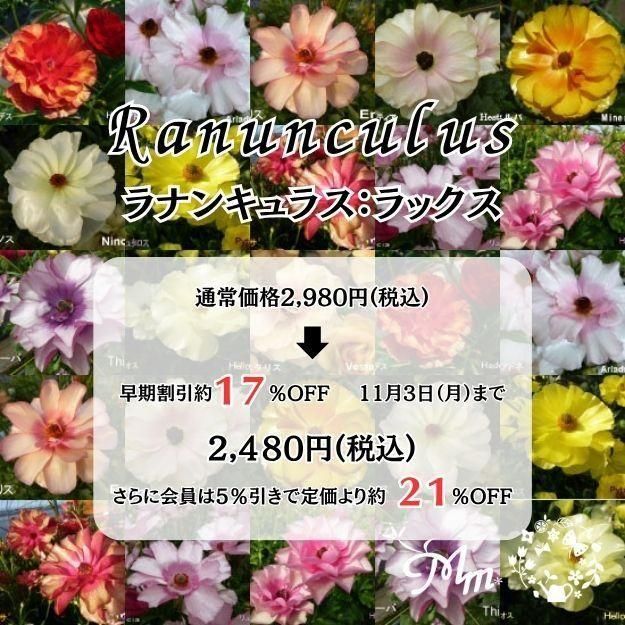2025ǯ11沼ȯۥʥ󥭥饹å 12cm󥰥åȭ (̵) [¿ǯ(庬)]<img class='new_mark_img2' src='https://img.shop-pro.jp/img/new/icons6.gif' style='border:none;display:inline;margin:0px;padding:0px;width:auto;' />