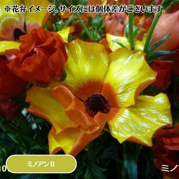 2025ǯ11沼ȯۥʥ󥭥饹å 12cm󥰥åȭ (̵) [¿ǯ(庬)]<img class='new_mark_img2' src='https://img.shop-pro.jp/img/new/icons29.gif' style='border:none;display:inline;margin:0px;padding:0px;width:auto;' />