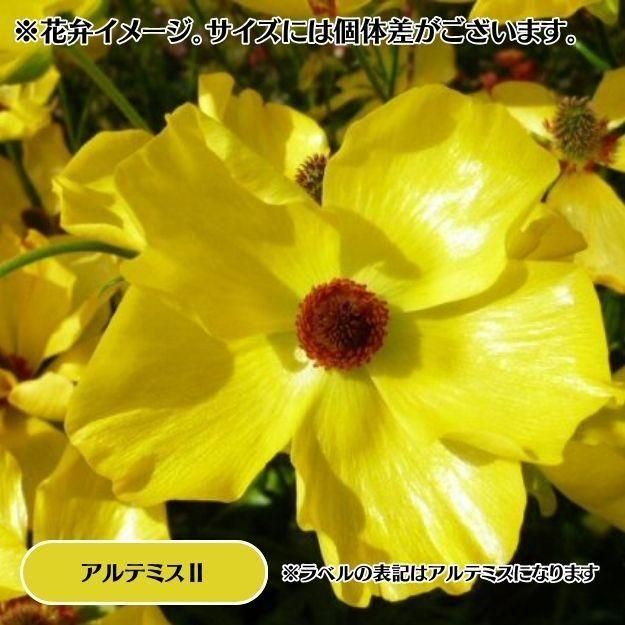 2025ǯ11沼ȯۥʥ󥭥饹å 12cm󥰥åȭ (̵) [¿ǯ(庬)]<img class='new_mark_img2' src='https://img.shop-pro.jp/img/new/icons29.gif' style='border:none;display:inline;margin:0px;padding:0px;width:auto;' />