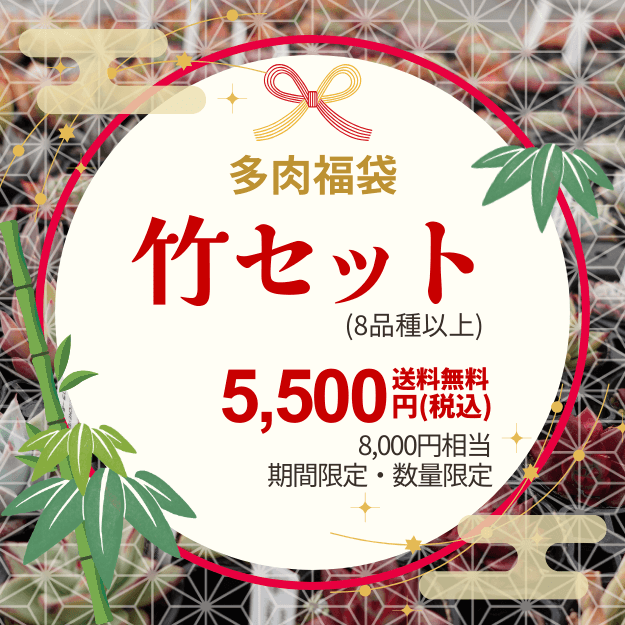 �ڴ��ָ���ʡ�ޡ�18,000��������11,000������̵��2026ǯ1��13���ޤǡۥ����٥ꥢ ʡ�� 3��β��ʤ������٤� [¿����ʪ�������쥹�����ġ����ۼ�] [��¾�ξ��ʤȤ�Ʊ�������Բ�]