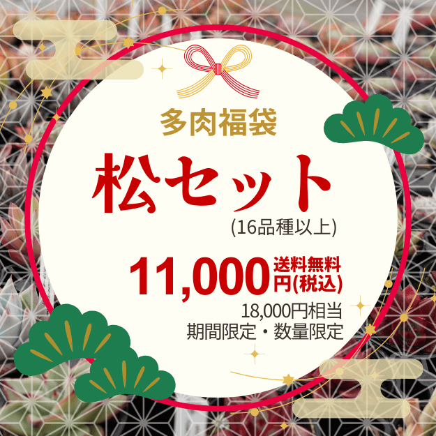 �ڴ��ָ���ʡ�ޡ�18,000��������11,000������̵��2026ǯ1��13���ޤǡۥ����٥ꥢ ʡ�� 3��β��ʤ������٤� [¿����ʪ�������쥹�����ġ����ۼ�] [��¾�ξ��ʤȤ�Ʊ�������Բ�]