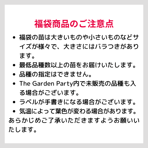 �ڴ��ָ���ʡ�ޡ�18,000��������11,000������̵��2026ǯ1��13���ޤǡۥ����٥ꥢ ʡ�� 3��β��ʤ������٤� [¿����ʪ�������쥹�����ġ����ۼ�] [��¾�ξ��ʤȤ�Ʊ�������Բ�]