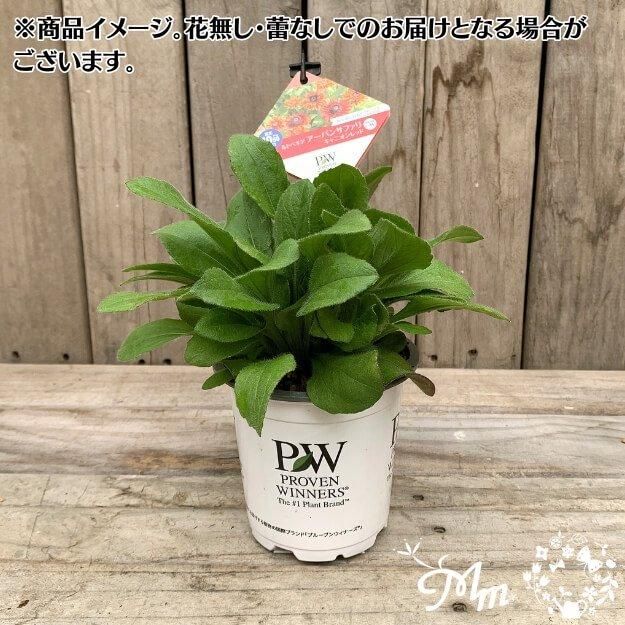 接点清掃済み！4本まとめ売り！ファイアレッド、リーフグリーン、ルビー、サファイア t010000081845.jpg