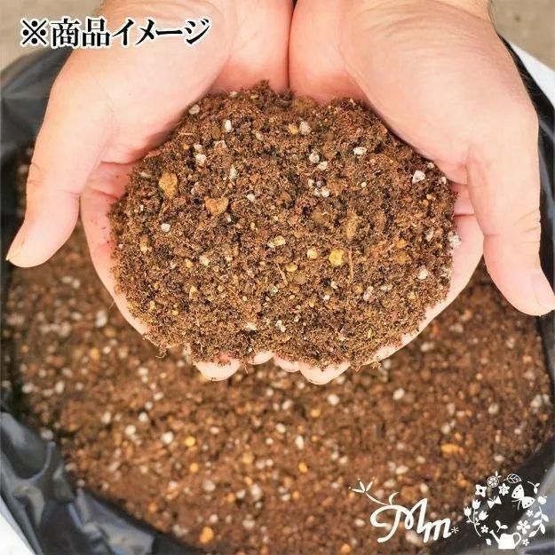 自然 RHシリーズ 4億年の神秘 2個入り 81oBvJO5NwL.jpg