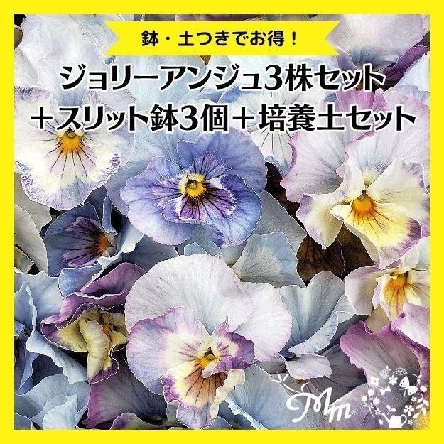 ѥ󥸡 ꡼󥸥3å(ȭդ)ξʥڡ