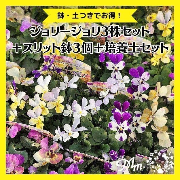 ӥ ꡼3å(ȭդ)ξʥڡ