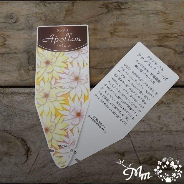 �ڤ��㤤�����ĥ��åȡۥ�ʥ󥭥�饹����å��� ���ݥ�����ڥͥ��� 2�ݥåȥ��å�(10.5�ѥݥå���)(��̵)[¿ǯ��(�庬)]�ο��̸����<img class='new_mark_img2' src='https://img.shop-pro.jp/img/new/icons6.gif' style='border:none;display:inline;margin:0px;padding:0px;width:auto;' />