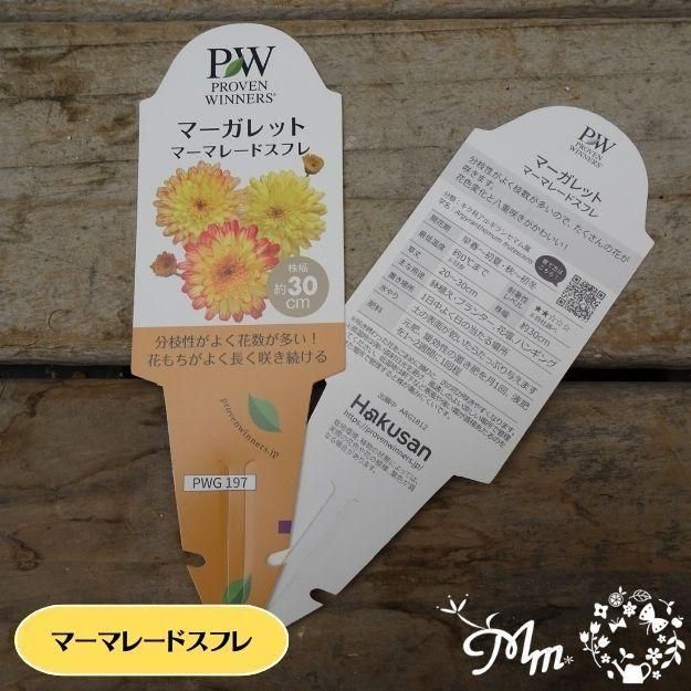 �ڤ��㤤�����ĥ��åȡۥޡ�����åȼ���4�ʼ�4�����å�(10.5�ѥݥå���)(��̵)[���Ѵ���¿ǯ��]�ο��̸����<img class='new_mark_img2' src='https://img.shop-pro.jp/img/new/icons6.gif' style='border:none;display:inline;margin:0px;padding:0px;width:auto;' />