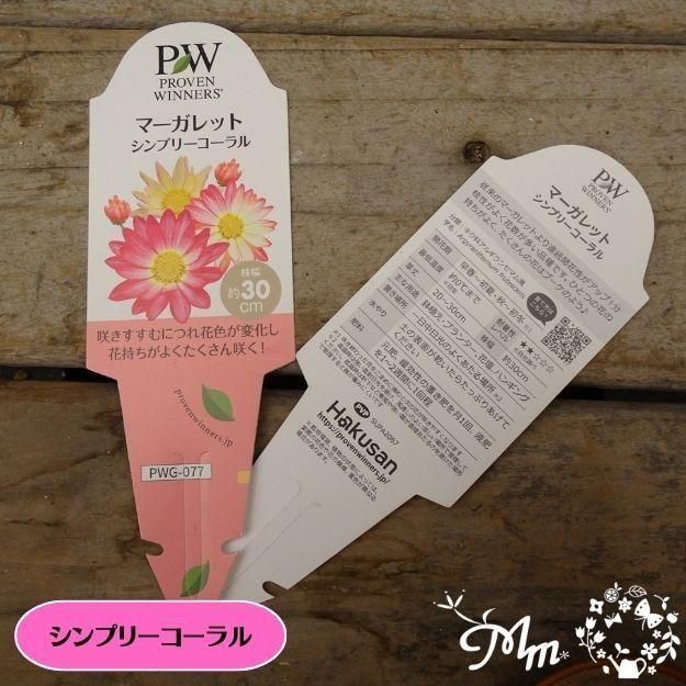 �ڤ��㤤�����ĥ��åȡۥޡ�����åȼ���4�ʼ�4�����å�(10.5�ѥݥå���)(��̵)[���Ѵ���¿ǯ��]�ο��̸����<img class='new_mark_img2' src='https://img.shop-pro.jp/img/new/icons6.gif' style='border:none;display:inline;margin:0px;padding:0px;width:auto;' />