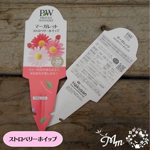 �ڤ��㤤�����ĥ��åȡۥޡ�����åȼ���4�ʼ�4�����å�(10.5�ѥݥå���)(��̵)[���Ѵ���¿ǯ��]�ο��̸����<img class='new_mark_img2' src='https://img.shop-pro.jp/img/new/icons6.gif' style='border:none;display:inline;margin:0px;padding:0px;width:auto;' />