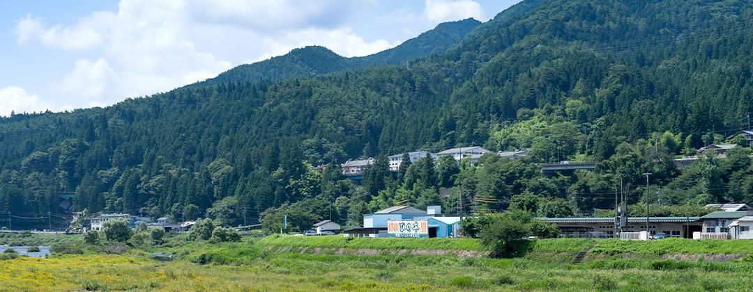 森林生活 会社概要